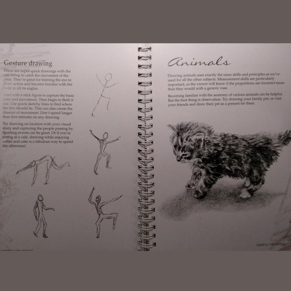 Simply Drawing instructional Book and DVD - Picture 6 of 6